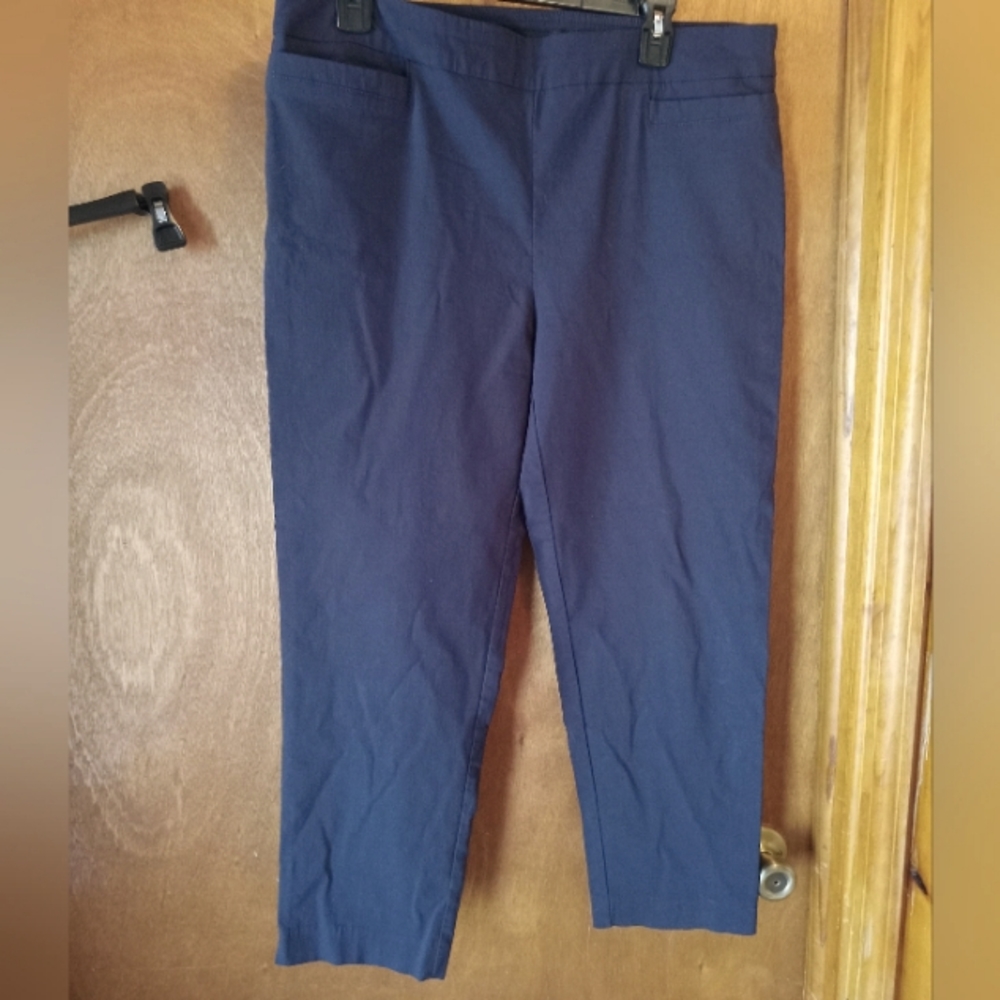 Sharagano pants